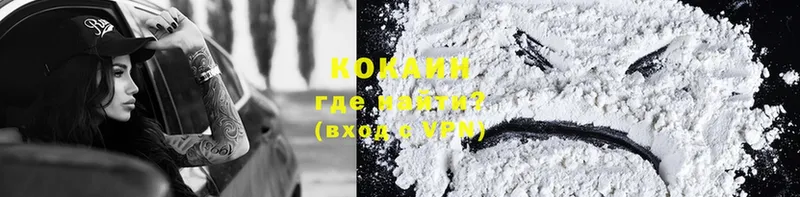 Cocaine Fish Scale  Волгоград 